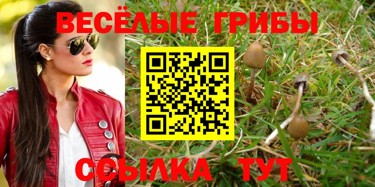 Псилоцибиновые грибы мицелий  Вход с VPN  Магнитогорск 